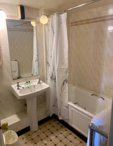 洛哈尔什教区凯尔高地The Lochalsh Hotel - Views of Skye Bridge的带水槽和浴帘的浴室