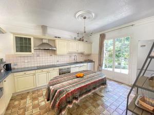 Kuchyň nebo kuchyňský kout v ubytování Villa Daurus