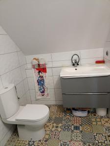 La salle de bains est pourvue de toilettes et d'un lavabo. dans l'établissement ELEKTRA, à Stare Bielice
