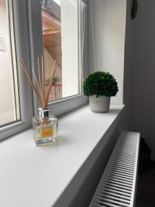 a window sill with a bottle of perfume and a plant at Maple Lodge Apartments in Braşov
