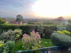 a garden with bushes and flowers on a balcony at Glastonbury Hideaway in Glastonbury