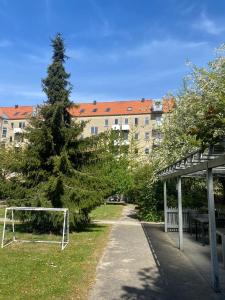 a pine tree and a soccer goal in a park at beautiful danish apartment on the beach with 2 free bikes in Copenhagen