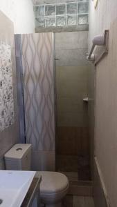 La petite salle de bains est pourvue d'une douche et de toilettes. dans l'établissement CASA TALLÁN 2 habitaciones wifi Cocina baño privado Jr Junin 263 barrio norte Piura, à Piura