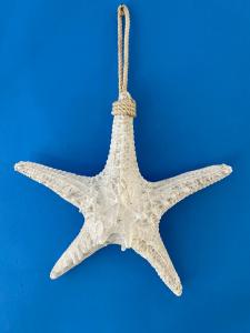 a white starfish hanging on a string on a blue background at Casa Nadip in Ustica