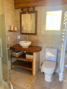 ein Bad mit einem Waschbecken und einem WC in der Unterkunft GITE DE L'AUXINEILL in Castelnou