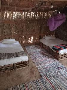 two beds in a straw hut with rugs at Forest Camp Siwa - كامب الغابة in Siwa