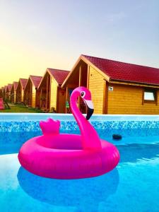 a pink swan float in a swimming pool at Domki Magnolia in Rusinowo