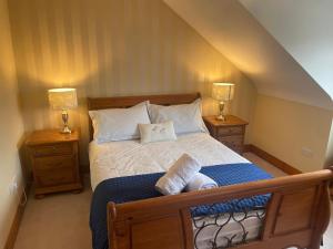 1 dormitorio con 1 cama con 2 mesitas de noche y 2 lámparas en Cosy Rooms in a Stone Cottage, en Galway