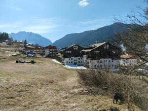 een groep huizen op een heuvel met een hond bij Appartamento Fronte Piste in Auronzo di Cadore