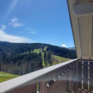 a view from the balcony of a house at Apartment Hirsch in Grünenbach