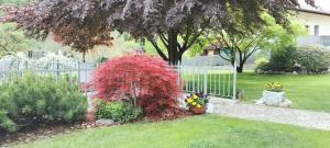 A garden outside Casa Vacanze - Green Garden