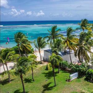 uma vista para uma praia com palmeiras e para o oceano em Savannah Guadeloupe em Saint-François
