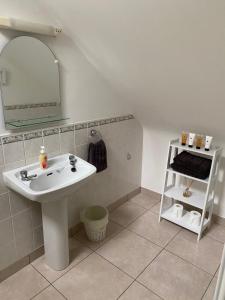 a bathroom with a sink and a mirror and a shelf at Green Haven V93P230 in Killarney