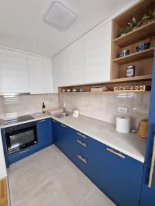 eine Küche mit blauen Schränken und einem Waschbecken in der Unterkunft Apartman Juba in Lukavica