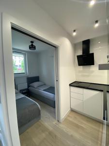 Televízia a/alebo spoločenská miestnosť v ubytovaní Apartament MORENA