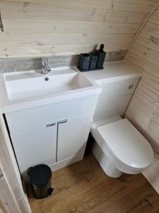 a small bathroom with a sink and a toilet at Tighlochan pods in Scourie