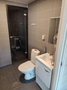 La salle de bains est pourvue de toilettes, d'un lavabo et d'une douche. dans l'établissement Minikoti, à Oulu