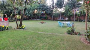 a yard with blue chairs and a table in the grass at THE CLOVER Home Stay in Srinagar