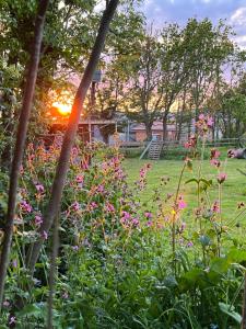 um jardim com um ramo de flores num campo em Glamping at Camp Corve em Chale