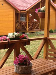 Vonkajšia záhrada v ubytovaní Domki Magnolia