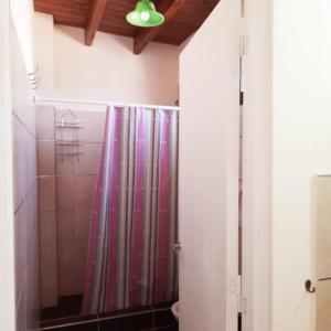 y baño con ducha y cortina de ducha. en León I en Mendoza