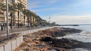 a beach next to the ocean with palm trees and buildings at Apartament Julia de LUX in Torrevieja