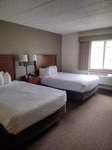 a hotel room with two beds and a window at AmericInn by Wyndham Red Wing in Red Wing