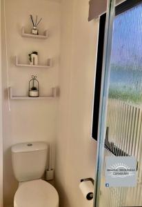 a bathroom with a toilet and a shower with a window at Skegness - Ingoldmells Caravan Hire in Ingoldmells