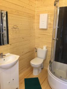 a bathroom with a toilet and a sink and a shower at Domki Magnolia in Rusinowo