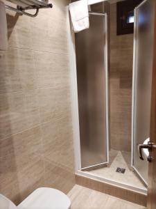 La salle de bains est pourvue d'une cabine de douche et de toilettes. dans l'établissement Apartamentos Santana, à Llanes