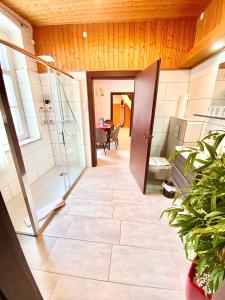 a bathroom with a walk in shower and a toilet at Ferienhaus Zur Abzuchtinsel in Goslar