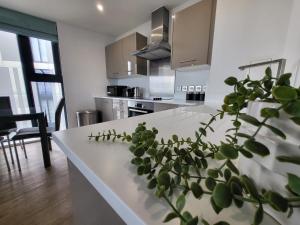 eine Küche mit einer weißen Theke mit einer Pflanze darauf in der Unterkunft Luxury Apartment Retreat - FREE Netflix And Wifi in Birmingham
