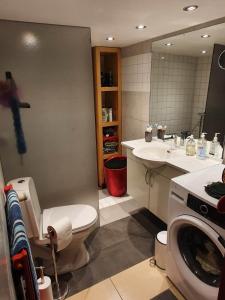 een badkamer met een toilet, een wastafel en een wasmachine bij Rural in Assens