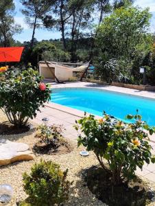 una piscina con dos plantas y una sombrilla roja en jolie Mazet avec piscine privée !, en Nimes