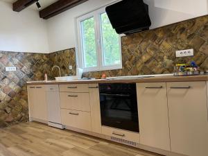 a kitchen with a sink and a stove top oven at Buzzing Retreat in Velika Remeta