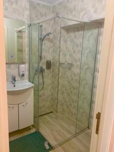 y baño con ducha y lavamanos. en Apartament Carolina Parc en Alba Iulia