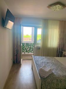 1 dormitorio con cama y ventana con vistas en Apartament Carolina Parc en Alba Iulia