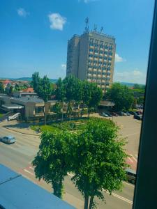 un edificio alto con un árbol delante de una calle en Apartament Carolina Parc en Alba Iulia