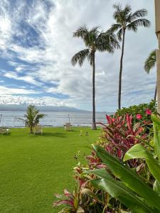 un césped verde con palmeras y el océano en Maalaea Harbor-Oceanfront 2 Bedroom/2 Bath en Wailuku