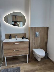 un bagno con lavandino, WC e specchio di Studio neuf proche centre-ville a Pabu