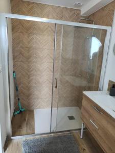 una doccia con una porta in vetro in un bagno di Studio neuf proche centre-ville a Pabu