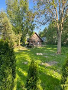 una casa en medio de un campo con árboles en Dom nad rzeką, en Neple
