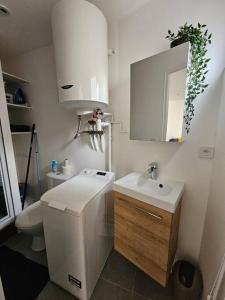 a bathroom with a sink and a toilet and a mirror at Le Castetnau - securise - Proche Halles de Pau in Pau