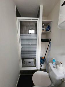 a small bathroom with a toilet and a window at Le Castetnau - securise - Proche Halles de Pau in Pau