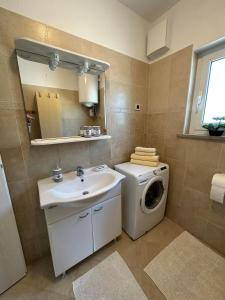 La salle de bains est pourvue d'un lave-linge et d'un lavabo. dans l'établissement Apartma Zonta, à Sečovlje