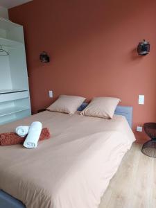 1 dormitorio con 1 cama grande y 2 almohadas en La Villa Bompard*** 50m² Cœur de ville avec terrasse, en Rodez