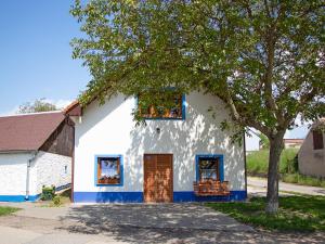 ヴェルケー・ビーロヴィツェにあるApartmán Na vinařské stezceの白青の木の建物