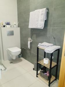 bagno con servizi igienici e asciugamani appesi a una parete di Sajam 1 a Novi Sad