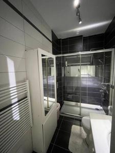 een badkamer met een wastafel, een toilet en een douche bij Bosphorus waterfront flat, Cengelköy in Istanbul