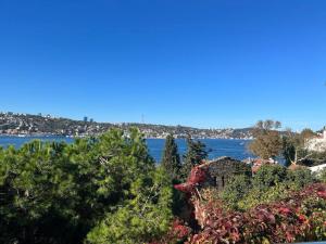 a view of a body of water with trees at Bosphorus waterfront flat, Cengelköy in Istanbul